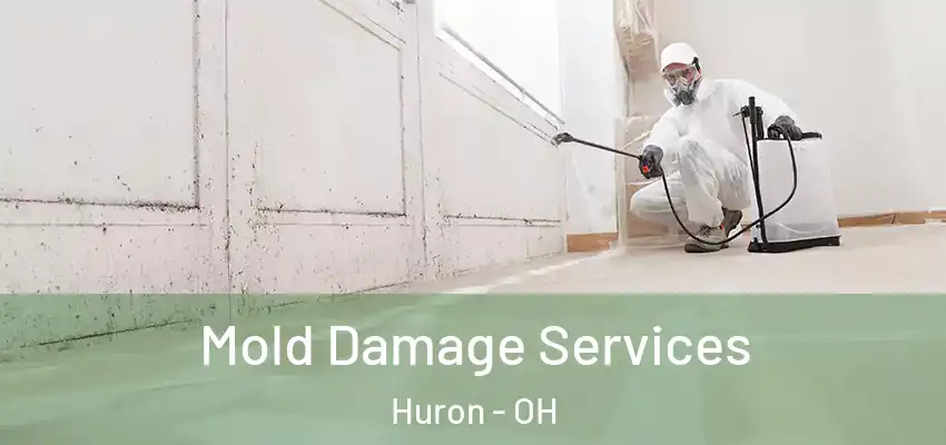  Mold Damage Services Huron - OH