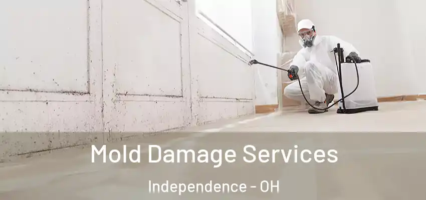  Mold Damage Services Independence - OH