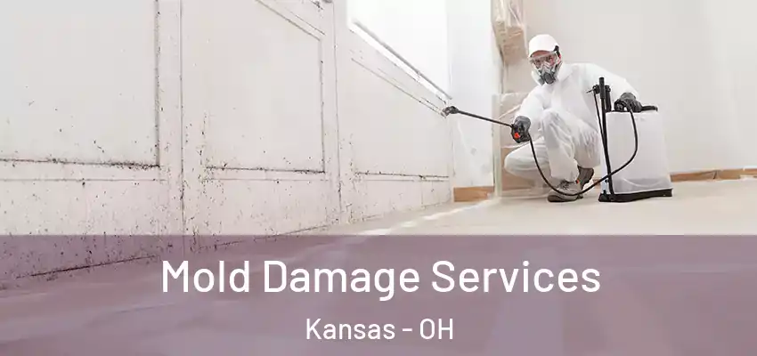  Mold Damage Services Kansas - OH