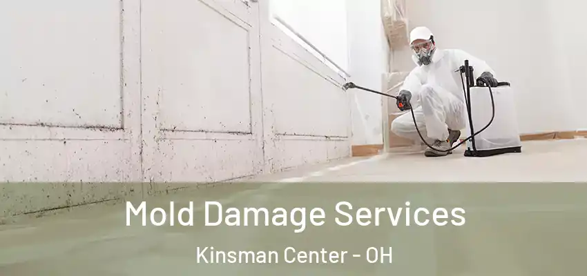 Mold Damage Services Kinsman Center - OH