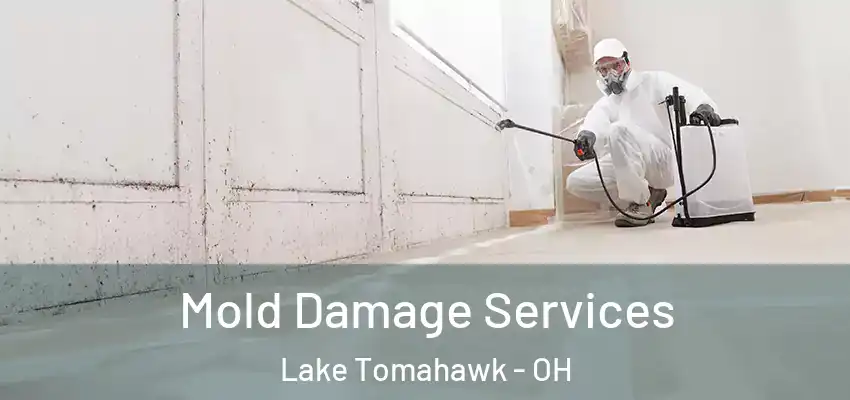  Mold Damage Services Lake Tomahawk - OH