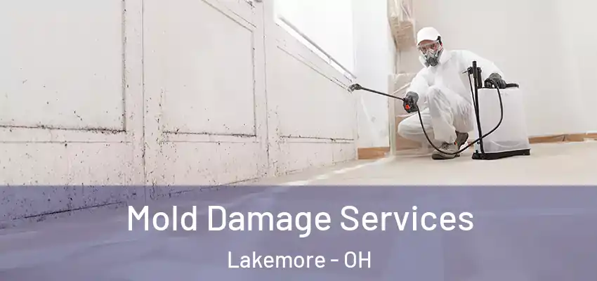 Mold Damage Services Lakemore - OH
