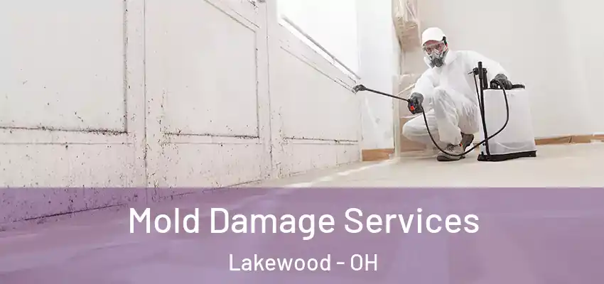 Mold Damage Services Lakewood - OH