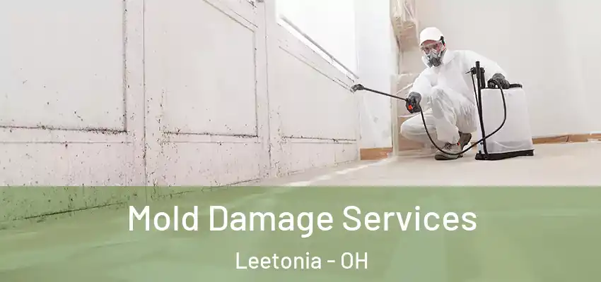 Mold Damage Services Leetonia - OH