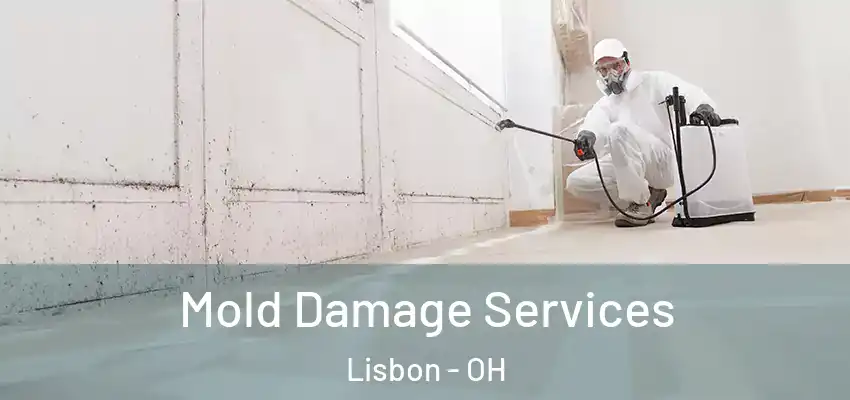  Mold Damage Services Lisbon - OH