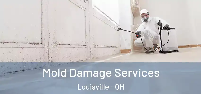 Mold Damage Services Louisville - OH