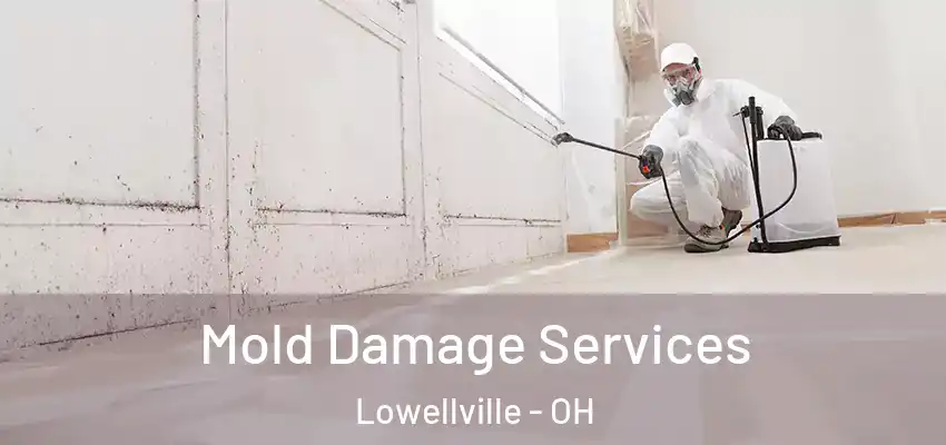 Mold Damage Services Lowellville - OH