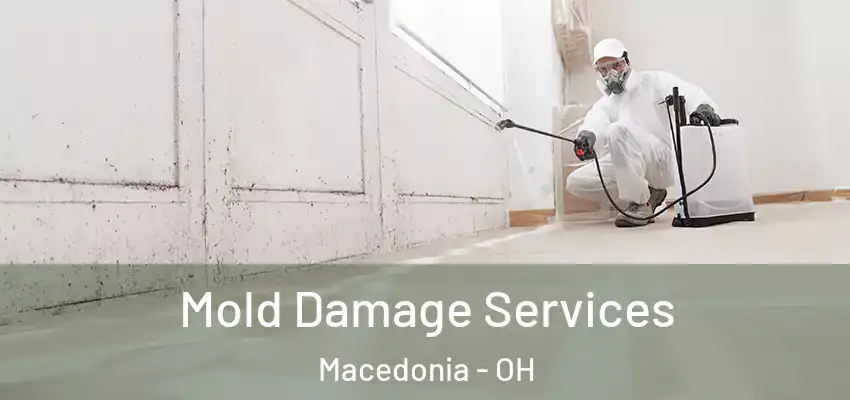  Mold Damage Services Macedonia - OH