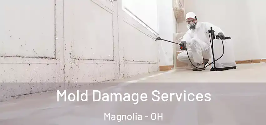 Mold Damage Services Magnolia - OH