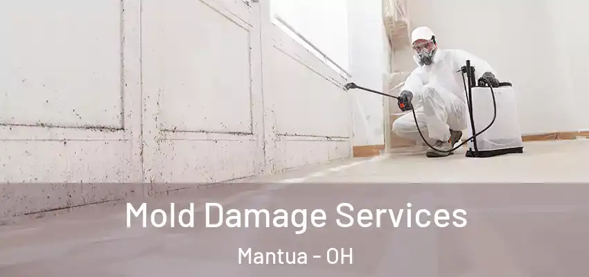 Mold Damage Services Mantua - OH