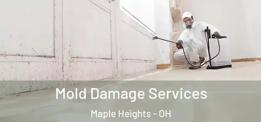  Mold Damage Services Maple Heights - OH