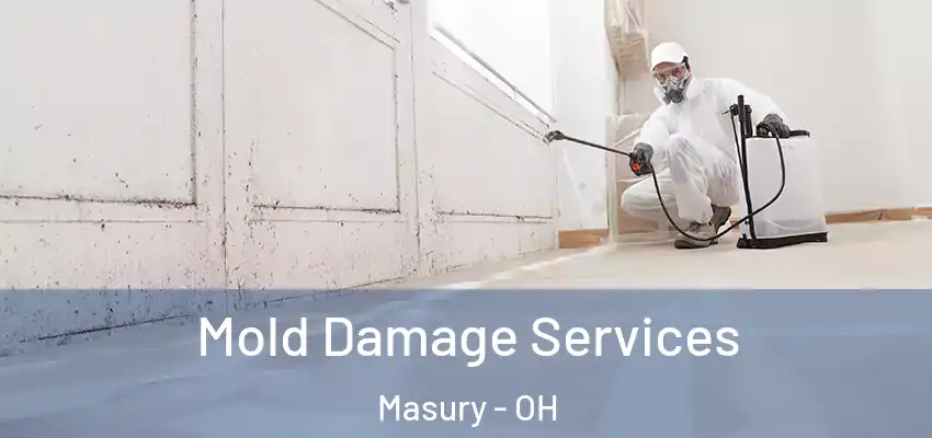  Mold Damage Services Masury - OH