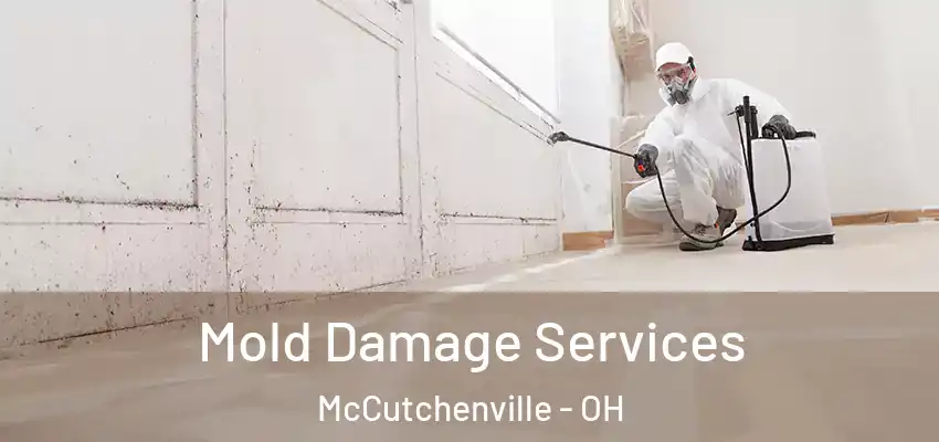 Mold Damage Services McCutchenville - OH