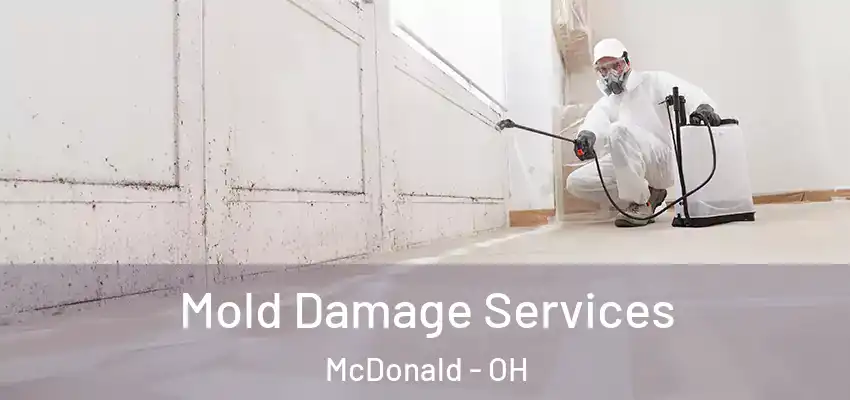  Mold Damage Services McDonald - OH