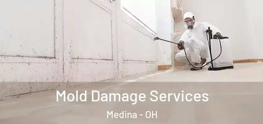 Mold Damage Services Medina - OH