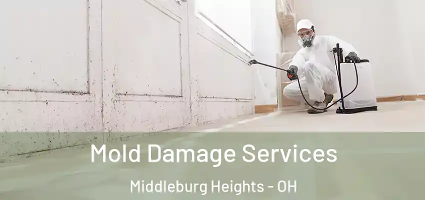 Mold Damage Services Middleburg Heights - OH