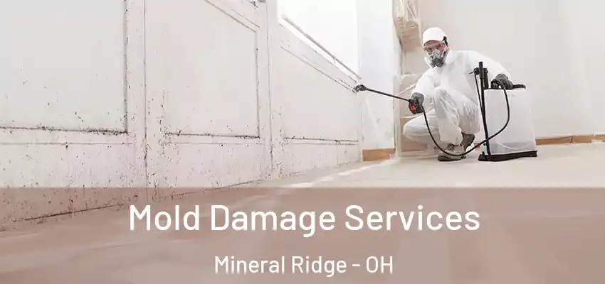 Mold Damage Services Mineral Ridge - OH