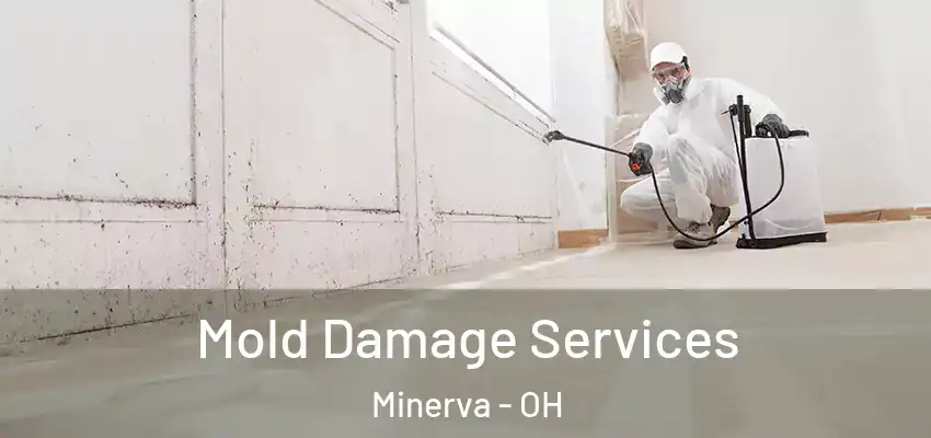  Mold Damage Services Minerva - OH