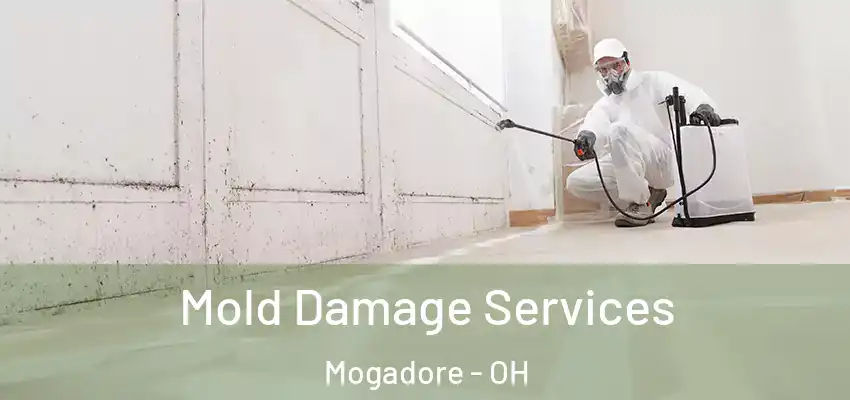  Mold Damage Services Mogadore - OH