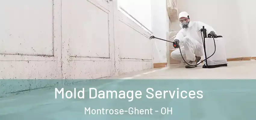 Mold Damage Services Montrose-Ghent - OH