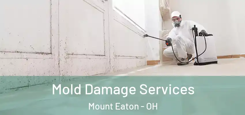  Mold Damage Services Mount Eaton - OH