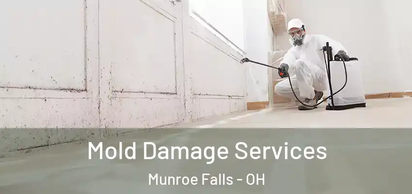  Mold Damage Services Munroe Falls - OH