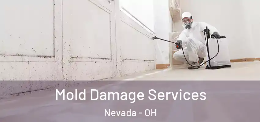  Mold Damage Services Nevada - OH
