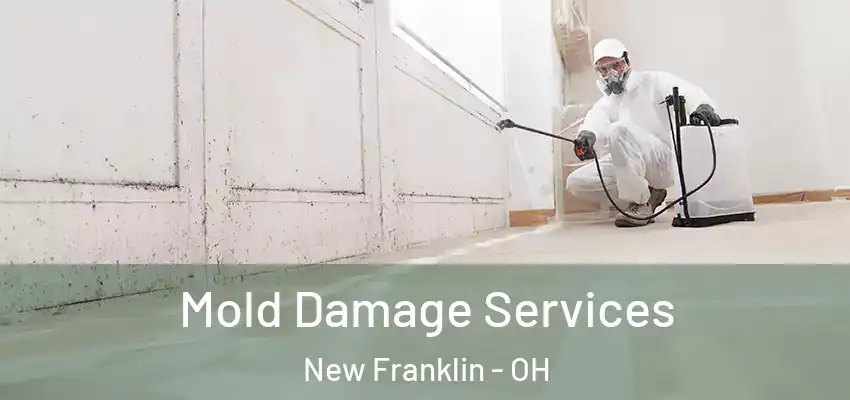 Mold Damage Services New Franklin - OH