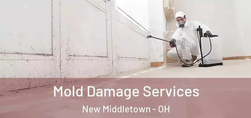 Mold Damage Services New Middletown - OH