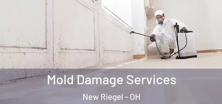 Mold Damage Services New Riegel - OH