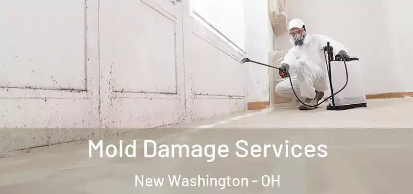 Mold Damage Services New Washington - OH