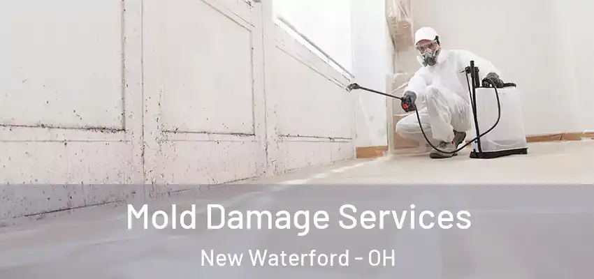 Mold Damage Services New Waterford - OH