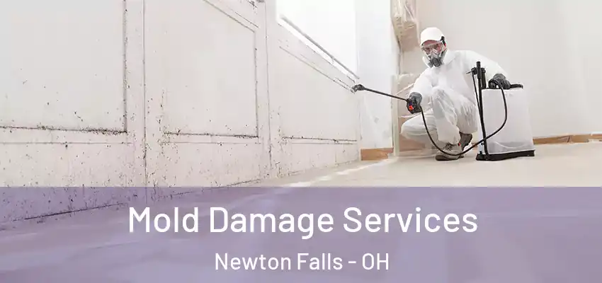 Mold Damage Services Newton Falls - OH