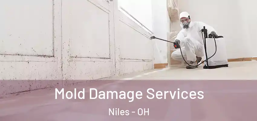  Mold Damage Services Niles - OH