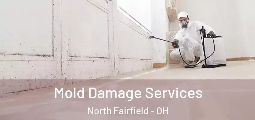 Mold Damage Services North Fairfield - OH
