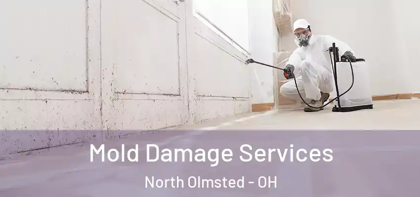 Mold Damage Services North Olmsted - OH