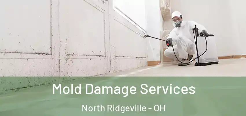 Mold Damage Services North Ridgeville - OH