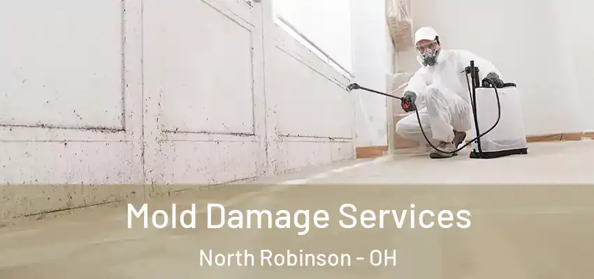 Mold Damage Services North Robinson - OH