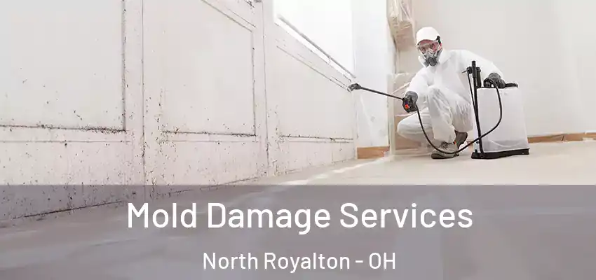 Mold Damage Services North Royalton - OH