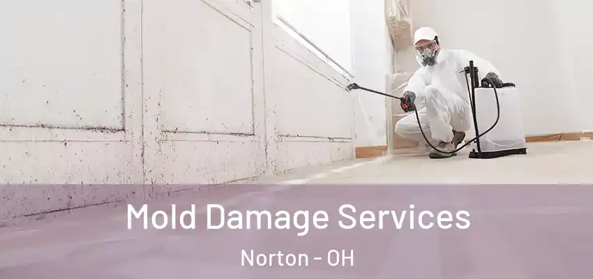  Mold Damage Services Norton - OH