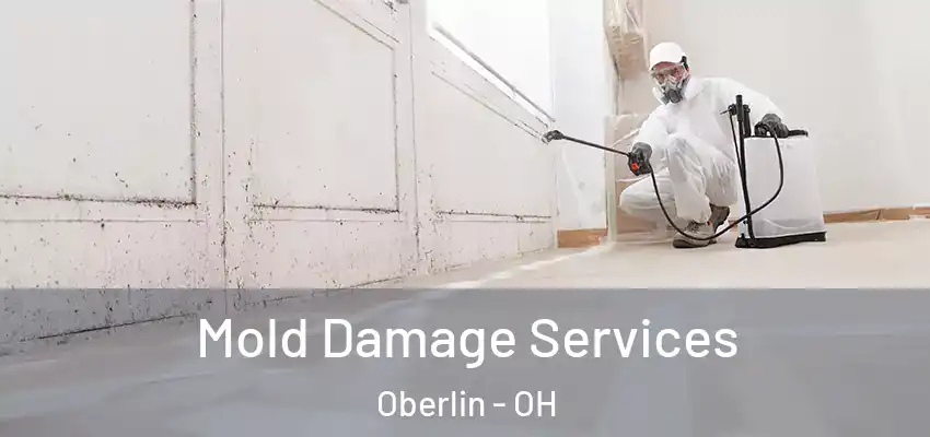  Mold Damage Services Oberlin - OH