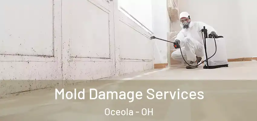 Mold Damage Services Oceola - OH
