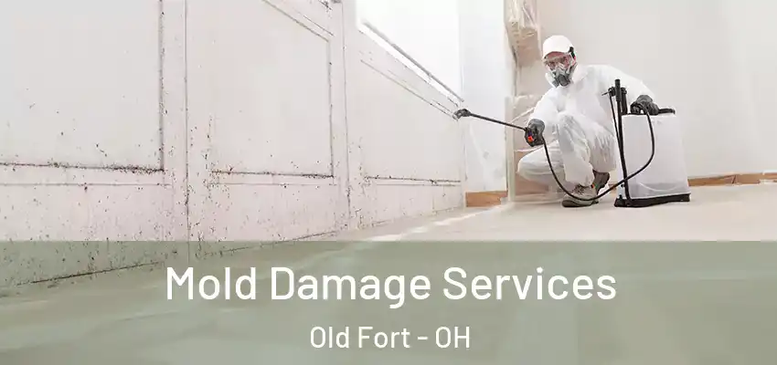 Mold Damage Services Old Fort - OH