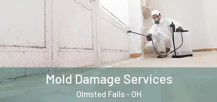 Mold Damage Services Olmsted Falls - OH