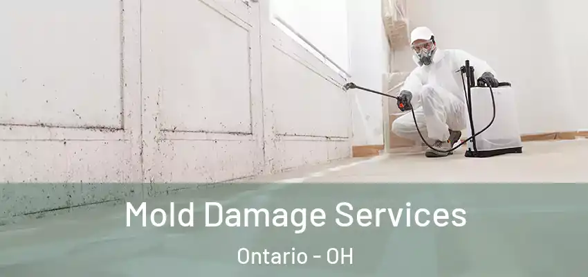 Mold Damage Services Ontario - OH