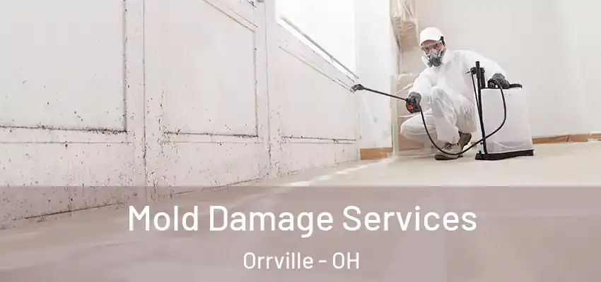  Mold Damage Services Orrville - OH