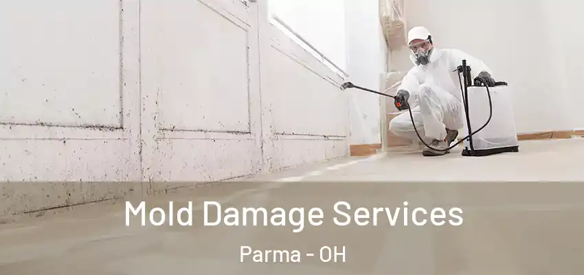  Mold Damage Services Parma - OH