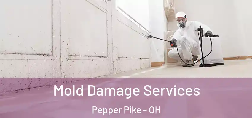  Mold Damage Services Pepper Pike - OH