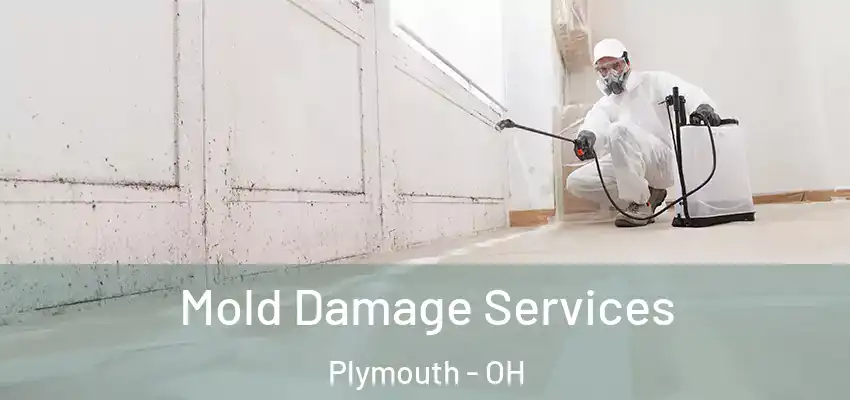 Mold Damage Services Plymouth - OH