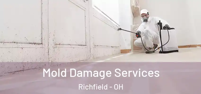  Mold Damage Services Richfield - OH